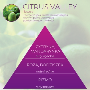 <B>CITRUS VALLEY</B> SPRAY 250 ml odświeżacz powietrza PREMIUM